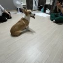 멍데이 유치원 이미지