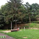 보라매약수터 이미지