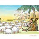 모세목장 이미지