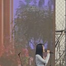 🔴 화성 특별한 콘서트✨️ part2️⃣ : 이쁜~ 봄 캐롤🎵우연히 봄🌸 라이브 매력↗️⬆️ 각 버전 모두 보물같은 귀한노래💎 이미지