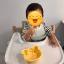 아기 생선 언제부터? 이유식 수산물 시기 및 애플스푼 생선큐브 내돈내산 후기