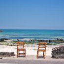 아일랜드 이미지