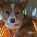 GS25부천내동점 이미지