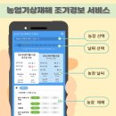 조기경보 이미지