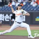 헤일리한국어