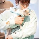 산들 강아지 이미지