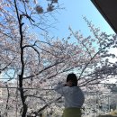 언양 | 울산 벚꽃뷰 카페 이너리트 언양본점 후기｜오픈런 필수·야외 벚꽃자리 꿀팁·벚꽃 포토존