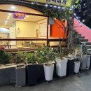 가인노래연습장 이미지