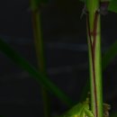 파주환경 이미지