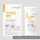 [~ing 31주차] 머리가 큰 울아가 &철분주사 &변비극복