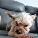 삼양해수사우나 이미지