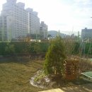 새보람유치원 이미지