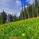 [110701 캐나다 록키 Lake Moraine-Sentinel Pass, Johnston Canyon, Banff] Ten Peaks의 장관 이미지