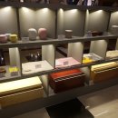 (주)펫바라기 이미지