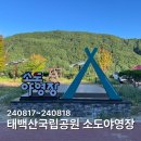 소도1 | 태백산국립공원 소도야영장 카라반 1박2일 이용후기, 아이와 여름 가족여행 추천