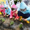 서삼초등학교 이미지