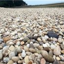 송이도몽돌 식당민박 이미지