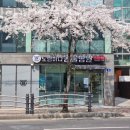 도림하나동물병원 이미지