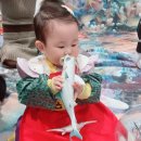 우리생협(중동시장점) | 현대백화점 중동점 문화센터 프리미엄 오감놀이 리틀자이언트 후기 | 수산시장 테마 원데이클래스