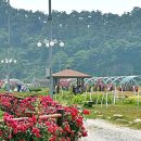 불갑주유소 이미지