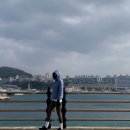 유니클로 경량패딩 퍼프테크 파카 내돈내산 블루 후기
