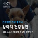 봉 동물병원 이미지