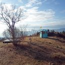 금오농협주유소 이미지