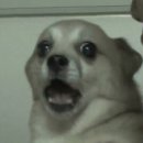 엄마꿈약국 이미지