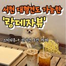 금화애견 | 분당 서현 공부하기 좋은 실내 애견동반카페 🐶 대형견도 가능한 ‘랑데자뷰’
