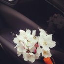 남해헬로펜션 이미지