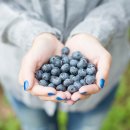 수곡농장 이미지