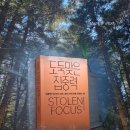 (문화가 있는 주간)도서대출 2plus 데이 | 도둑맞은 집중력 (요한 하리) 책 후기·추천 리뷰·핵심 요약 <지금 상실의 시대를 살고 있는 우리에게>