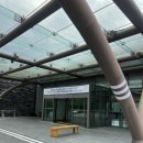 포레스트 골프연습장 | ⛳ 파가니카CC 가을 라운딩 후기 | 힐코스 &amp; 포레스트코스 라운드 분석