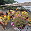 불암산나비정원 이미지