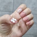시미네일 | 부평구청 네일샵 : 친절하고 유지력 좋은 시미네일 (내돈내산 후기)