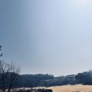 광양골프존 | 남쪽 지역의 spring 💗 광양 매화마을 / 골프존카운티 화랑