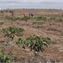 성윤농장 이미지