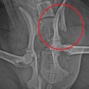 앙리동물병원 이미지