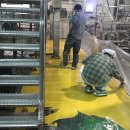 (주)티에프시스템 이미지