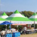장성황룡강노란꽃잔치 축제장2 | 장성 황룡강 가을꽃축제 주차장 및 산책길
