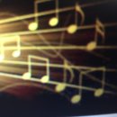 디 그레이 이미지