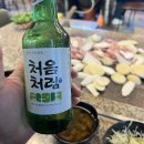 황금오리 이미지