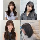 세븐일레븐대구동성로스타점 | 지금 가장 핫한 이쁘다헤어 대구 동성로스타점, 동성로미용실 트렌드 리포트