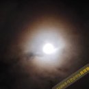 서울법당 추석합동차례 간단소감 이미지