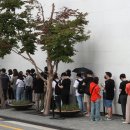 엔오에스월드 뉴시스
