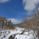 선 목장 이미지