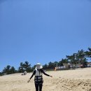 강원도 남애2리 해수욕장 아이와 조개잡이 체험, 준비물부터 후기까지