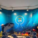 지족 죽방렴홍보관 이미지