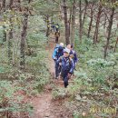 정봉아농장 이미지