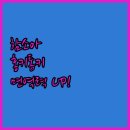 그린독 | 함소아 홍키통키 프라임 그린 유아홍삼, 우리 아이 면역력 지킴이? 솔직 후기!